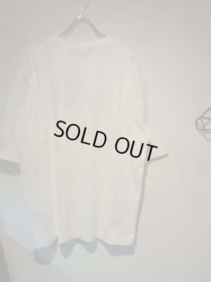 画像7: ESSAY（エッセイ） スーベニアTシャツ TRIESTE