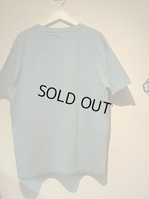 画像7: ESSAY（エッセイ） カスタムPGM Tee ペールグリーン