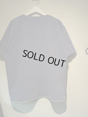 画像7: ESSAY（エッセイ） カスタムPGM Tee ペールブルー