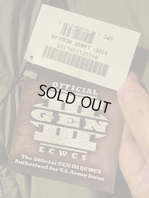 画像6: ECWCS GEN3 PRIMALOFT LEVEL7 PARKA（プリマロフト レベル7パーカ） L-REGULAR グリーン