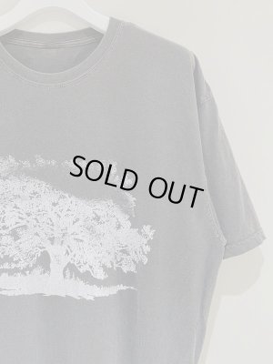 画像3: ESSAY（エッセイ） ピグメントTee チャコール