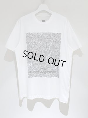 画像2: OAMC（オーエーエムシー） サンドストームプリントTシャツ ホワイト