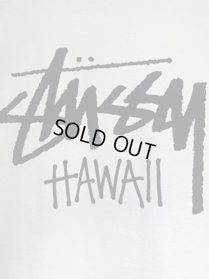 画像7: STUSSY（ステューシー） HAWAII（Kailua）限定 ロゴTシャツ ホワイト
