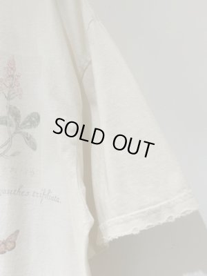 画像5: ANCELLM（アンセルム） Botanical T-shirt（ボタニカルTシャツ） ホワイト