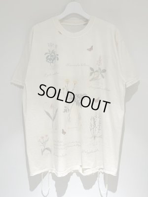 画像1: ANCELLM（アンセルム） Botanical T-shirt（ボタニカルTシャツ） ホワイト