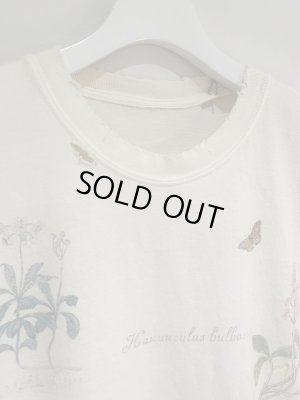 画像3: ANCELLM（アンセルム） Botanical T-shirt（ボタニカルTシャツ） ホワイト