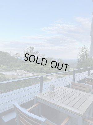 画像12: Lufthansa（ルフトハンザ） ロゴ刺繍Tシャツ ダークネイビー