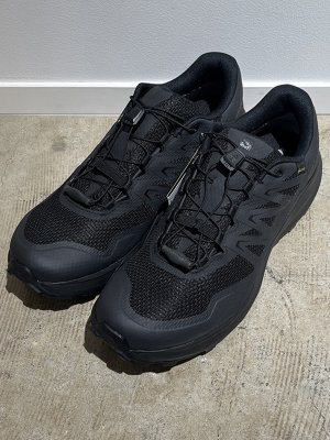画像1: SALOMON（サロモン） ALPHARIDE GTX（アルファライド ゴアテックス） トレイルランニングシューズ ブラック